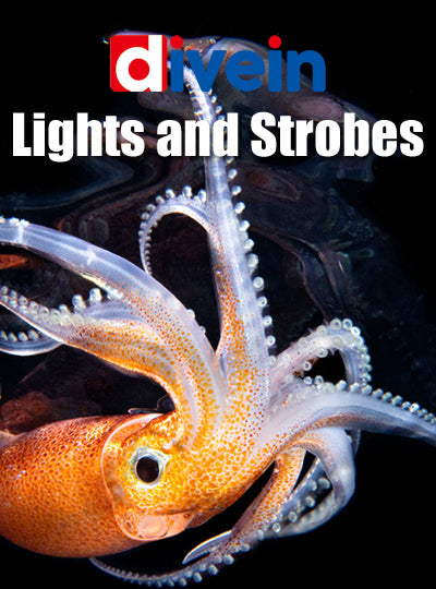 Lights and Strobes