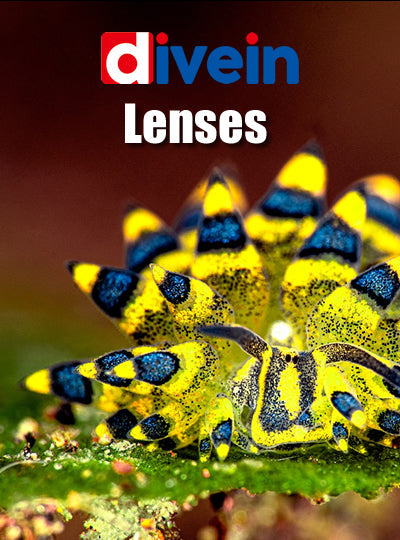 Lenses