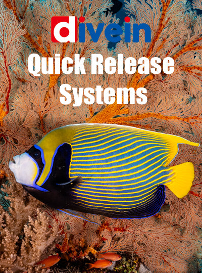 Quick Release Systems