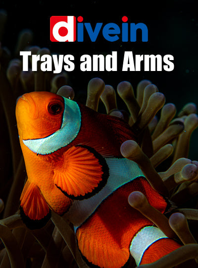 Trays and Arms