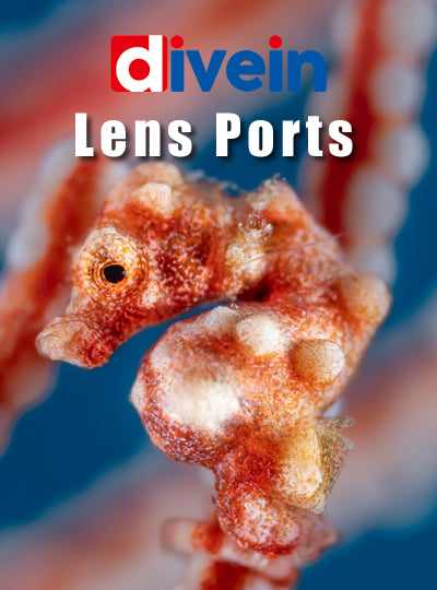 Lens Ports