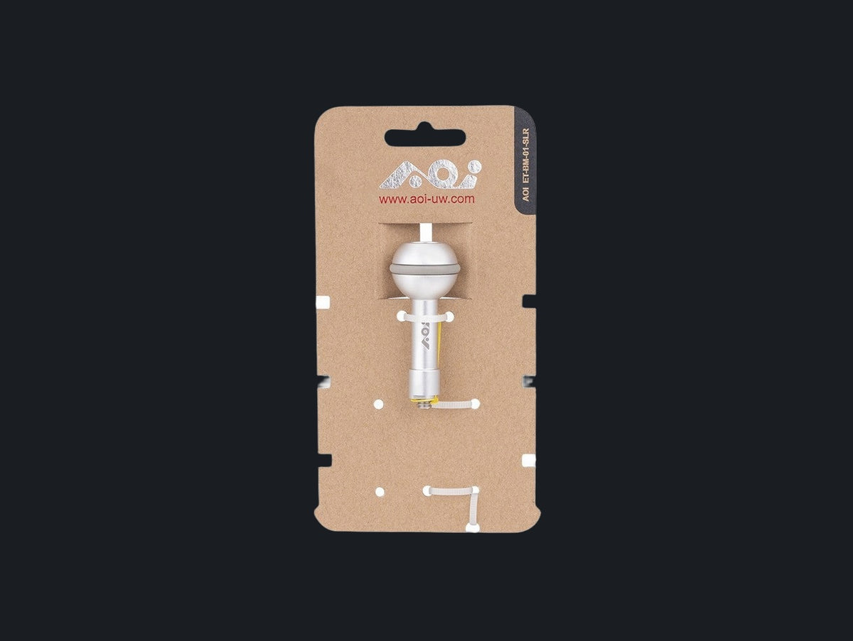 Extension in Ball Mount (Silver Color)