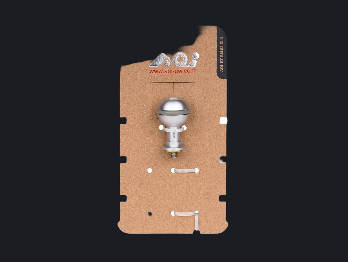 Extension in Ball Mount (Silver Color)
