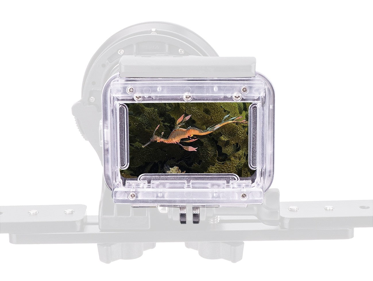 GoPro Hero11/ 12 Dive Housing Back Door Replacement Kit