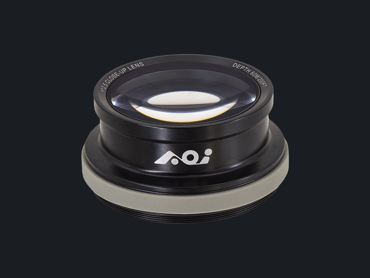 Underwater +12.5 Close-up Lens