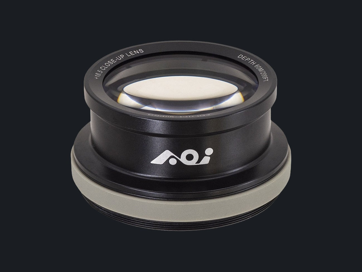 Underwater +18.5 Close-up Lens
